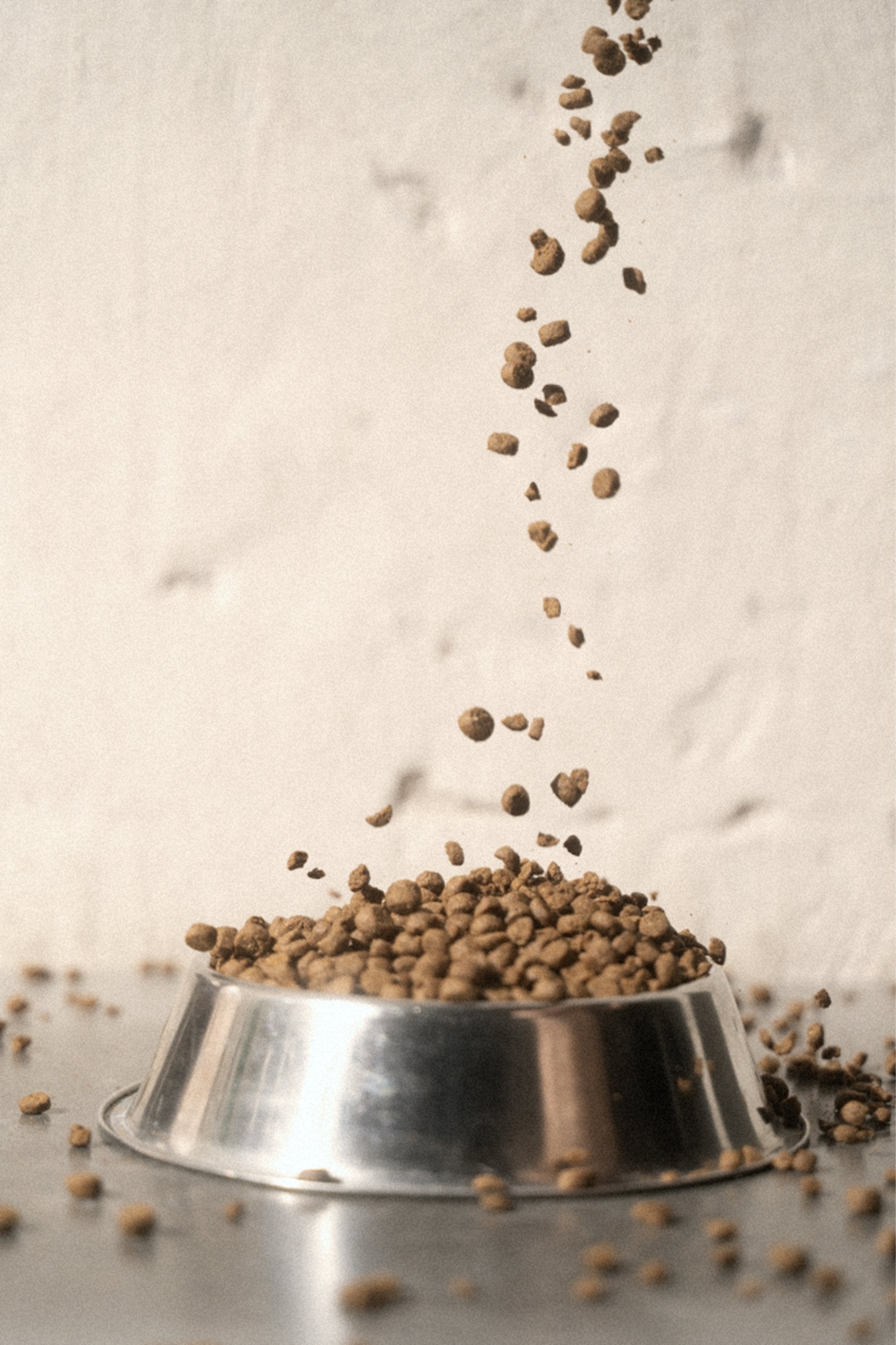 Grain Free Salmon Kibble